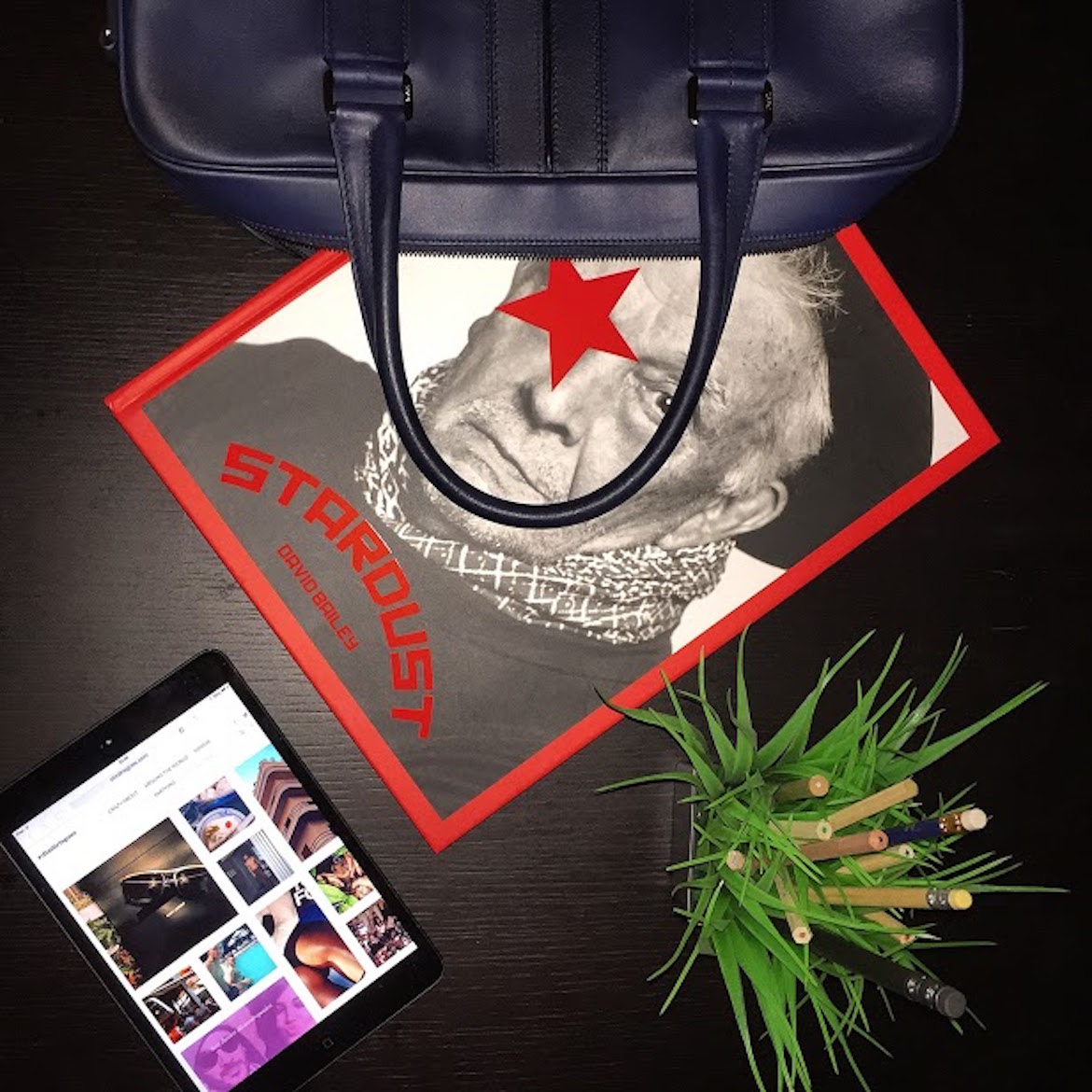David Bailey's STARDUST coffee-table book by Skira Editions -- leather briefcase by Tod's