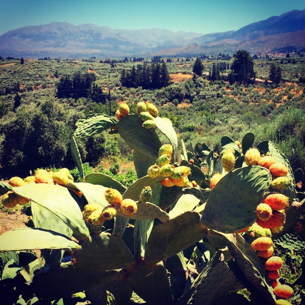 Mediterranean beauty in Apokoronas, so-called "Tuscany in Greece"...