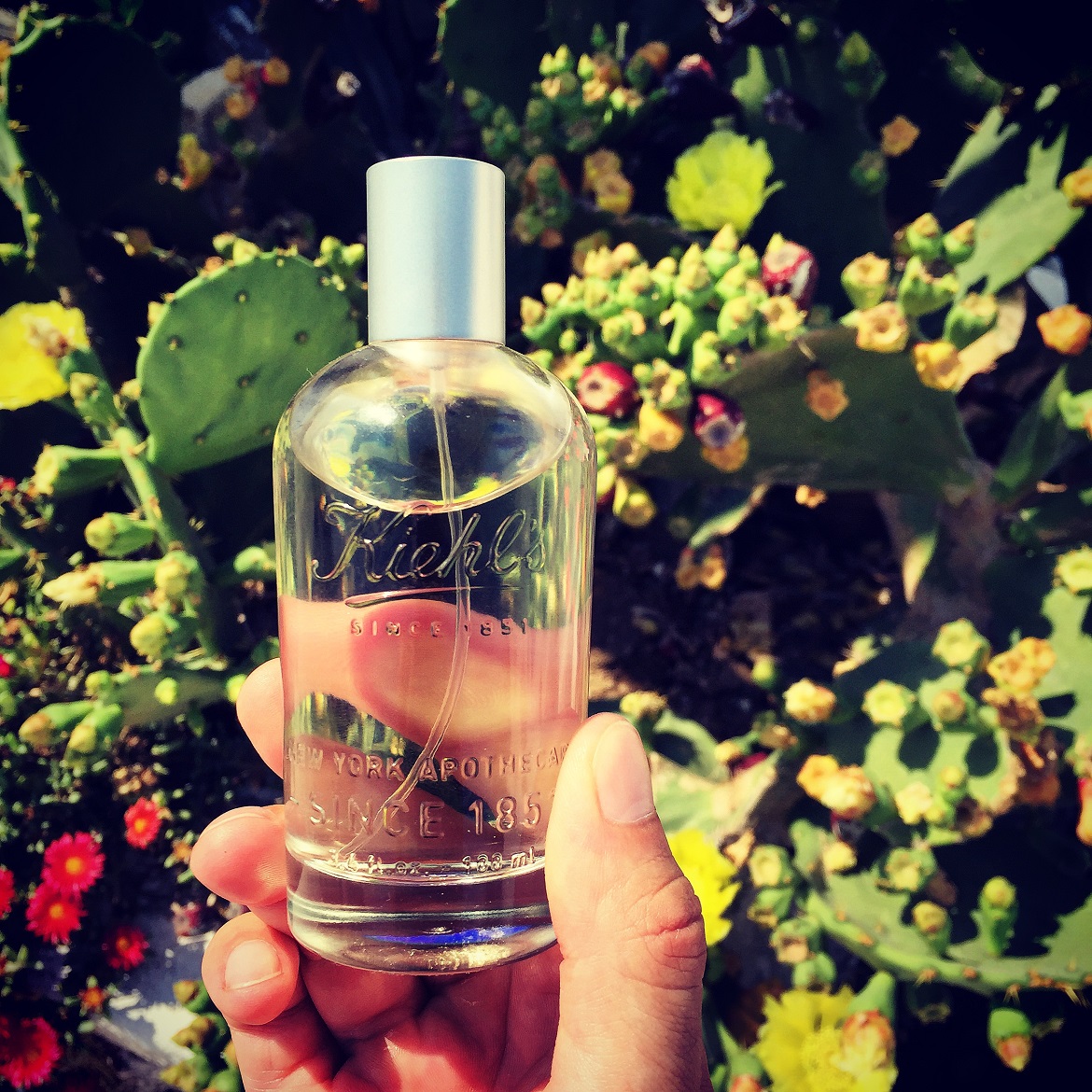 #1: The stimulating fusion of Fig Leaf & Sage with underlying hints of bergamot, citron & thyme... my summer scent :)