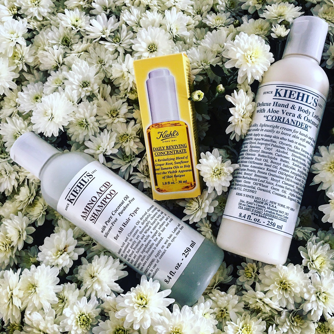 Famous Kiehl's Amino Acid Shampoo / new Daily Reviving Concentrate / silk soft Coriander deluxe hand & body lotion