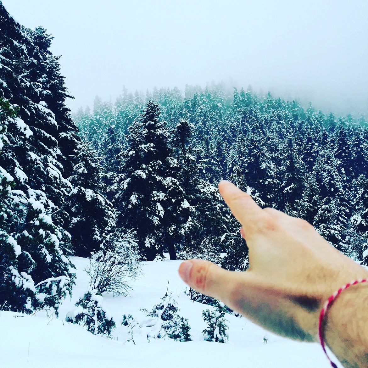 This way to wilderness! #adventure