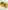 papillon-bistrot-5