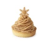 PAUL_Mont-Blanc marron