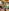 Rabbit-punch-brunch-