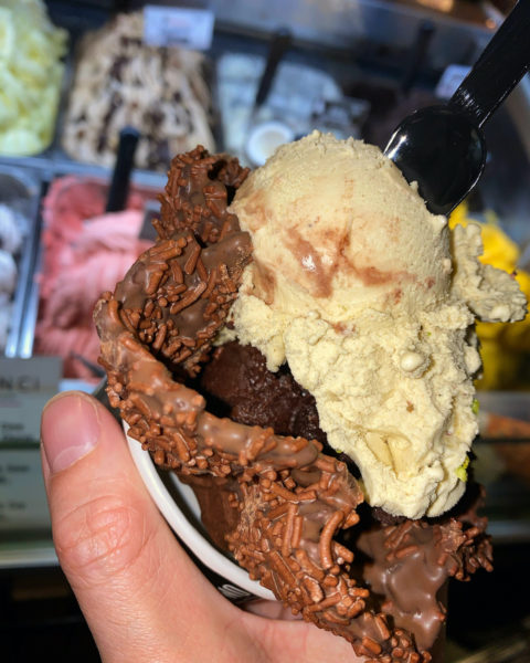 da-vinci-ice-cream