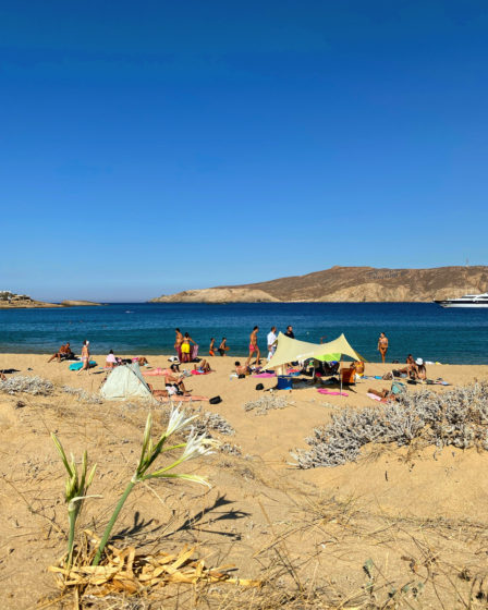 agios-sostis-beach-mykonos
