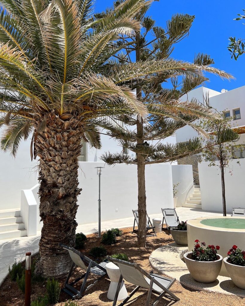 cosme-paros-4
